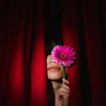 Person holding a pink daisy behind red curtains, evoking mystery.